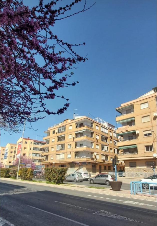 Sidi Ifni 7-9-2 Apartment Alicante Exterior photo